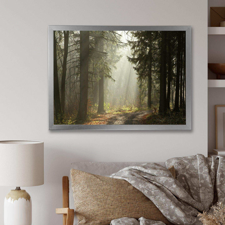 Dark Green Forest with Sun Rays