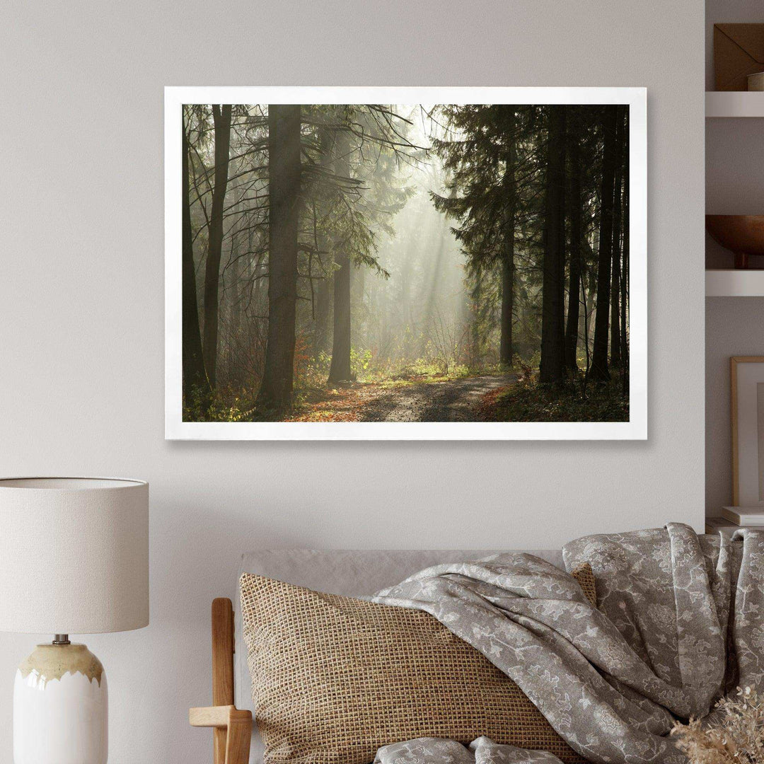 Dark Green Forest with Sun Rays