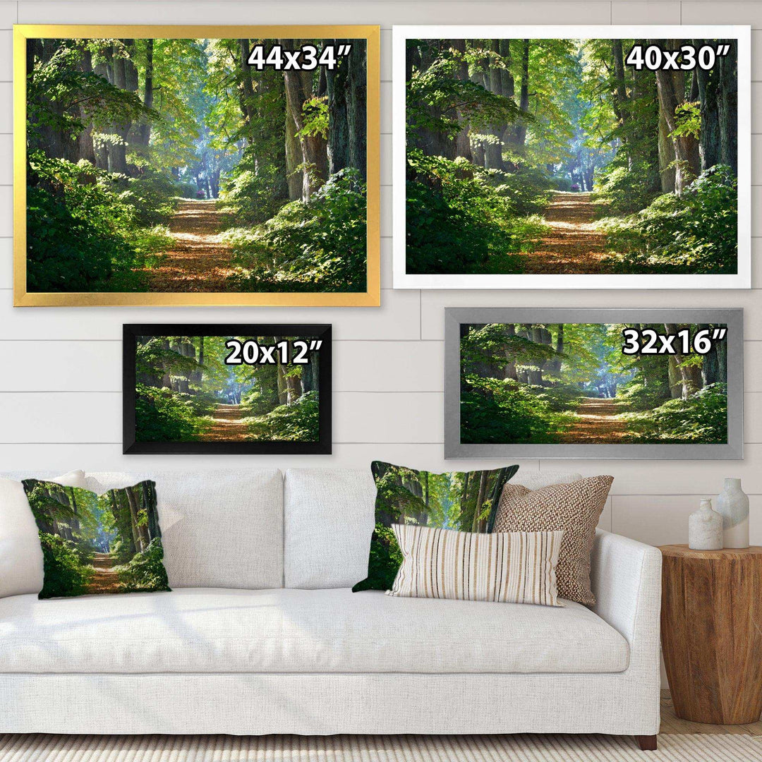 Bright Green Forest in Morning