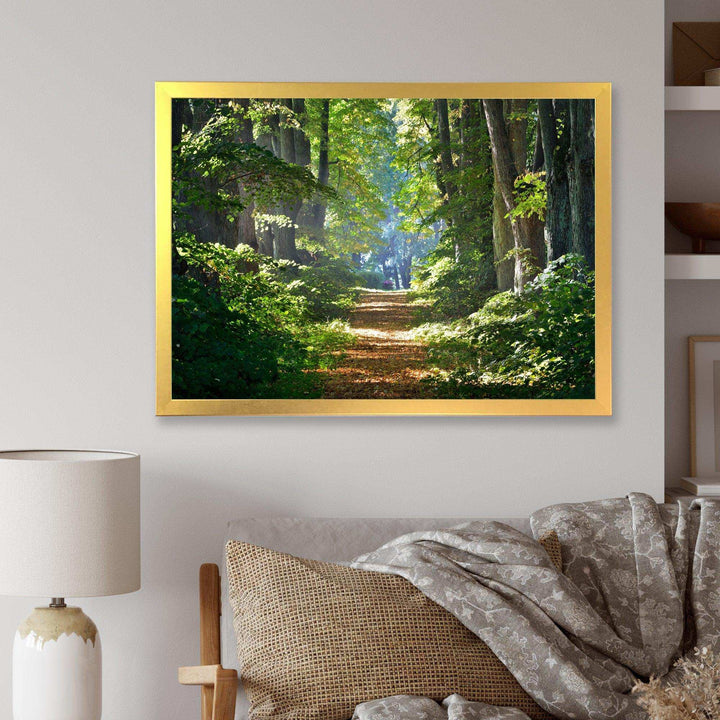 Bright Green Forest in Morning