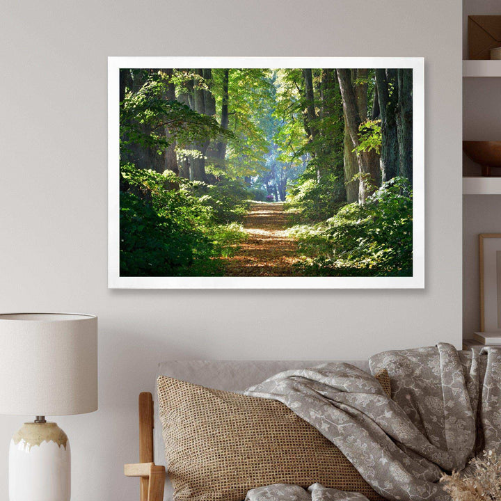 Bright Green Forest in Morning