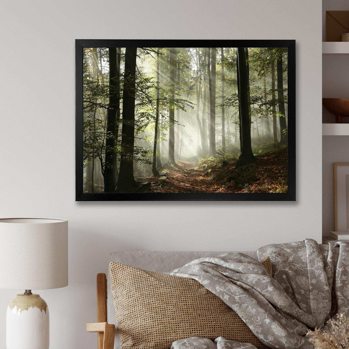 Light in Dense Fall Forest with Fog