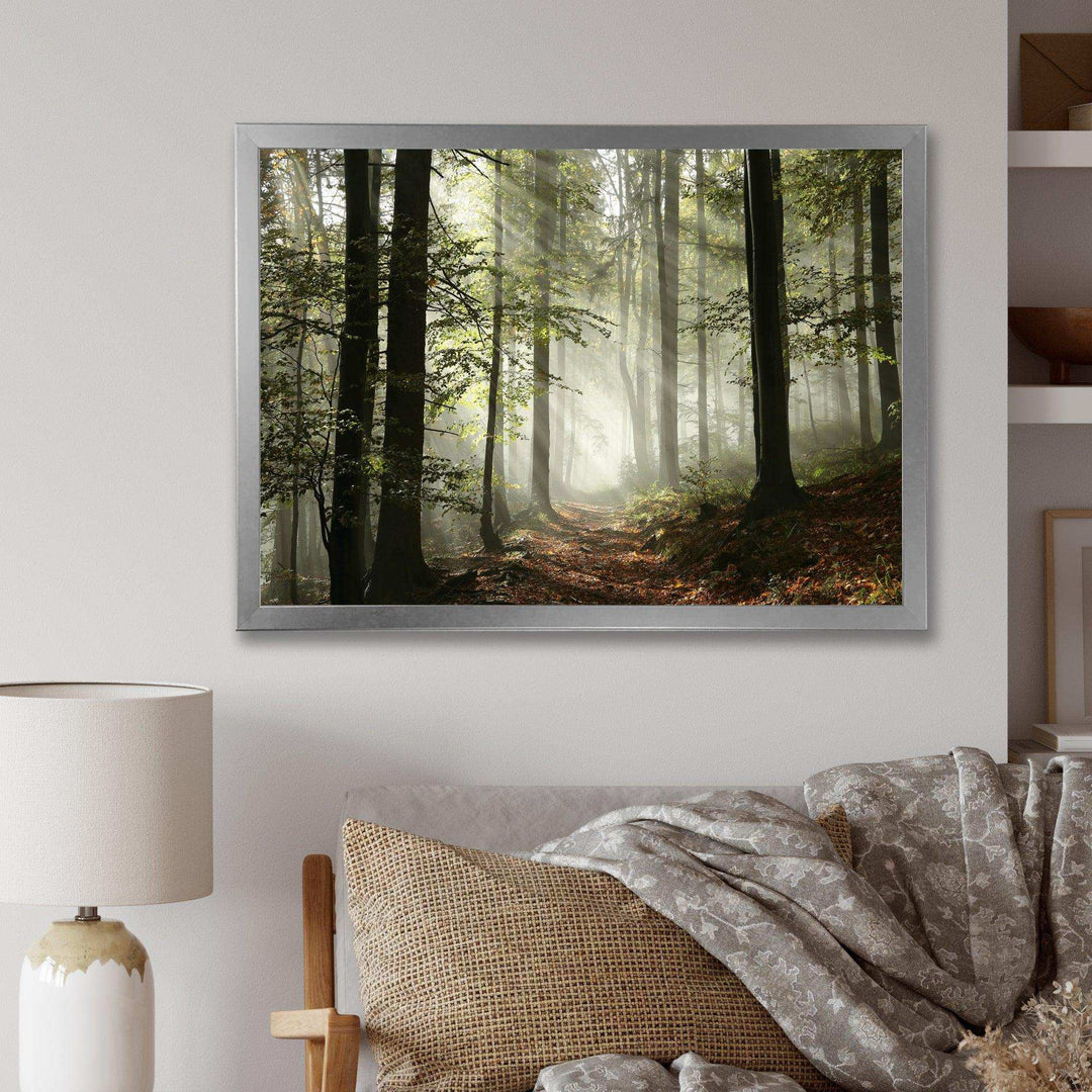 Light in Dense Fall Forest with Fog