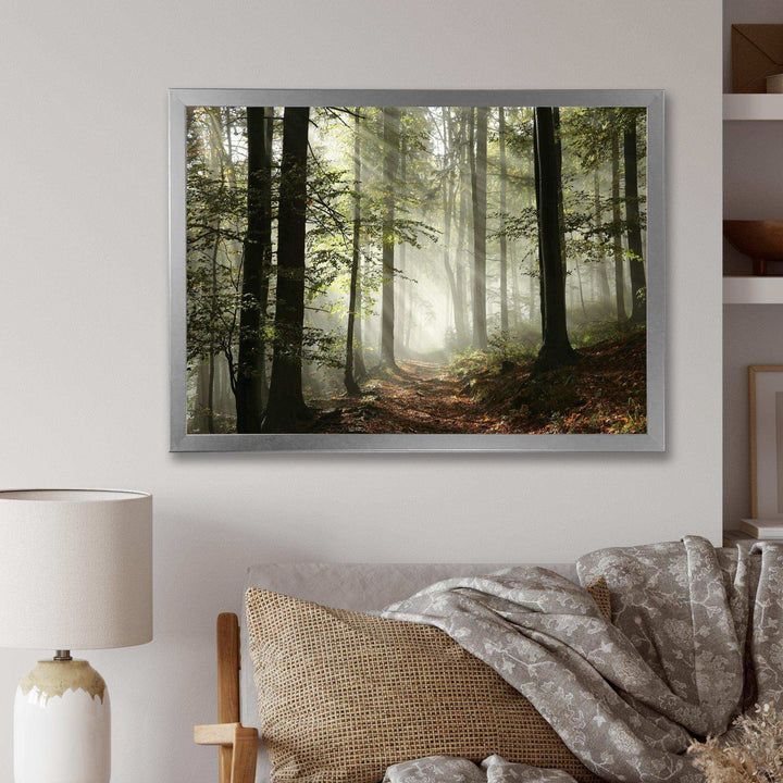 Light in Dense Fall Forest with Fog