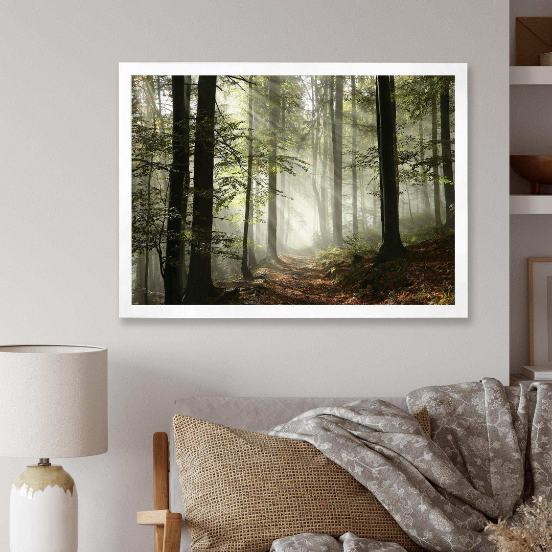 Light in Dense Fall Forest with Fog
