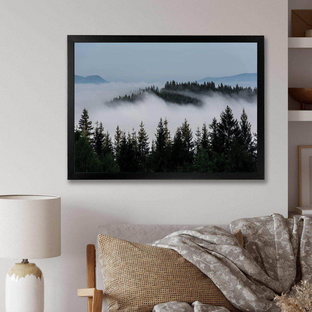 Dark Trees and Fog Over Mountains