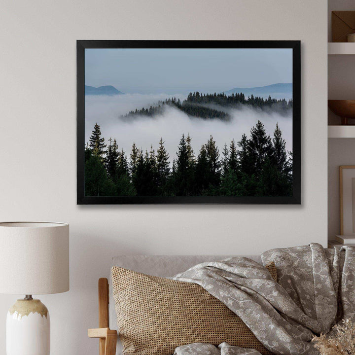 Dark Trees and Fog Over Mountains