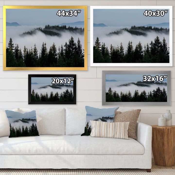 Dark Trees and Fog Over Mountains