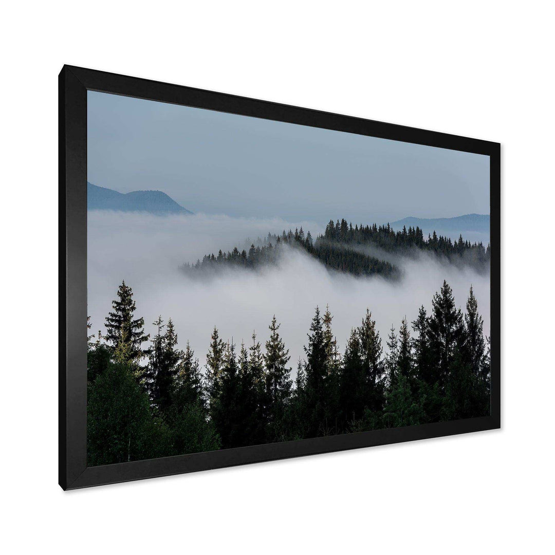 Dark Trees and Fog Over Mountains