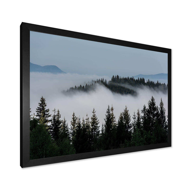 Dark Trees and Fog Over Mountains