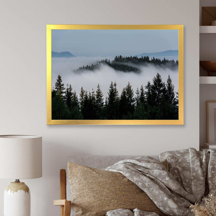 Dark Trees and Fog Over Mountains