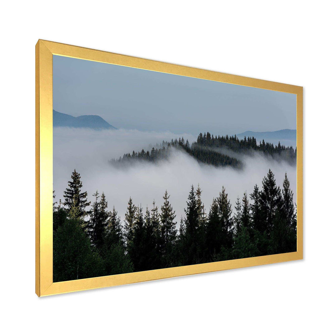 Dark Trees and Fog Over Mountains