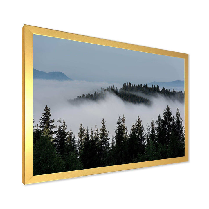 Dark Trees and Fog Over Mountains