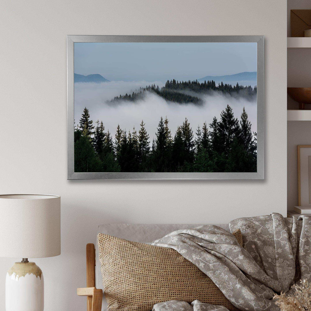 Dark Trees and Fog Over Mountains