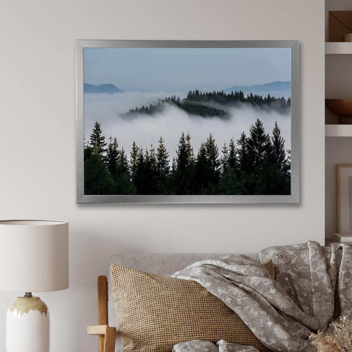 Dark Trees and Fog Over Mountains