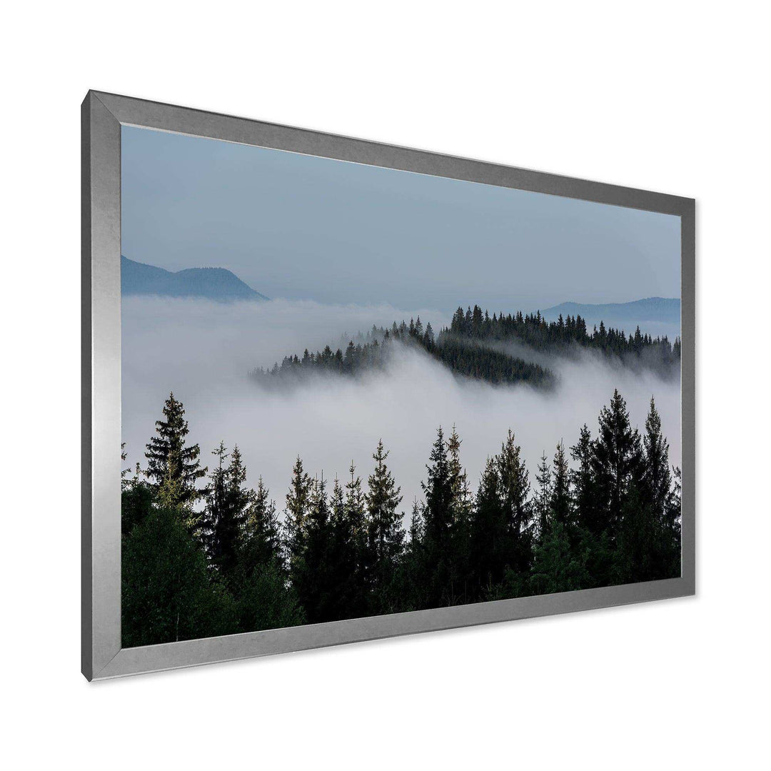 Dark Trees and Fog Over Mountains