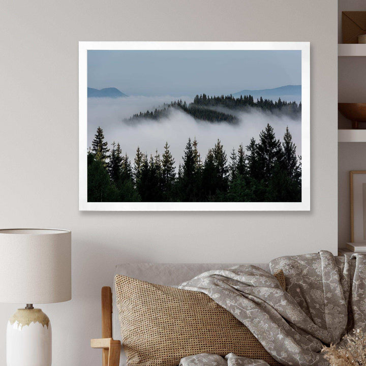 Dark Trees and Fog Over Mountains