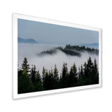 Dark Trees and Fog Over Mountains