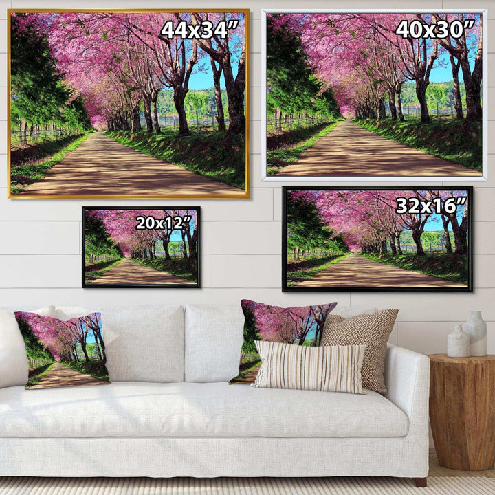 Cherry Blossom Pathway in Chiang Mai