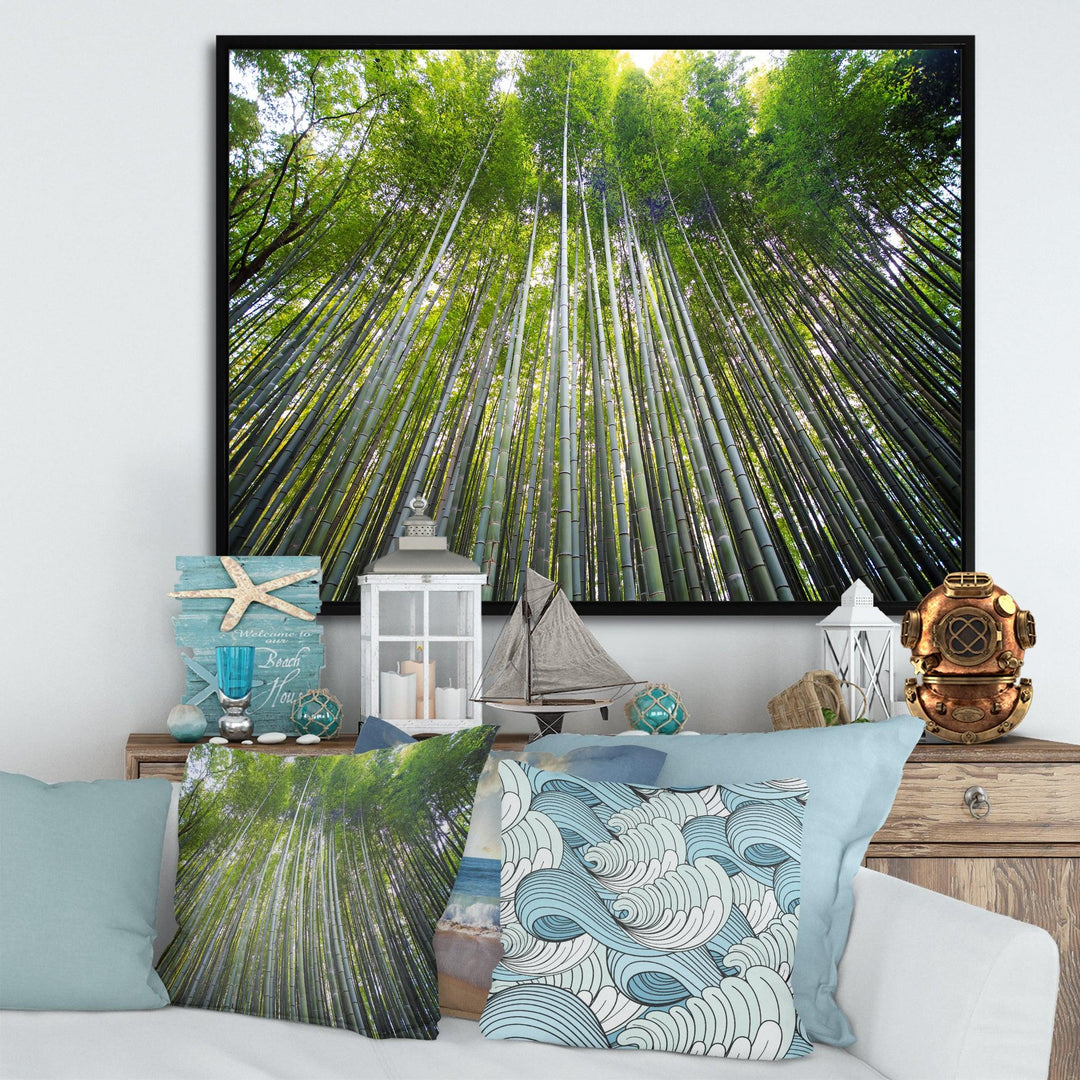 Bamboo forest of Kyoto Japan.