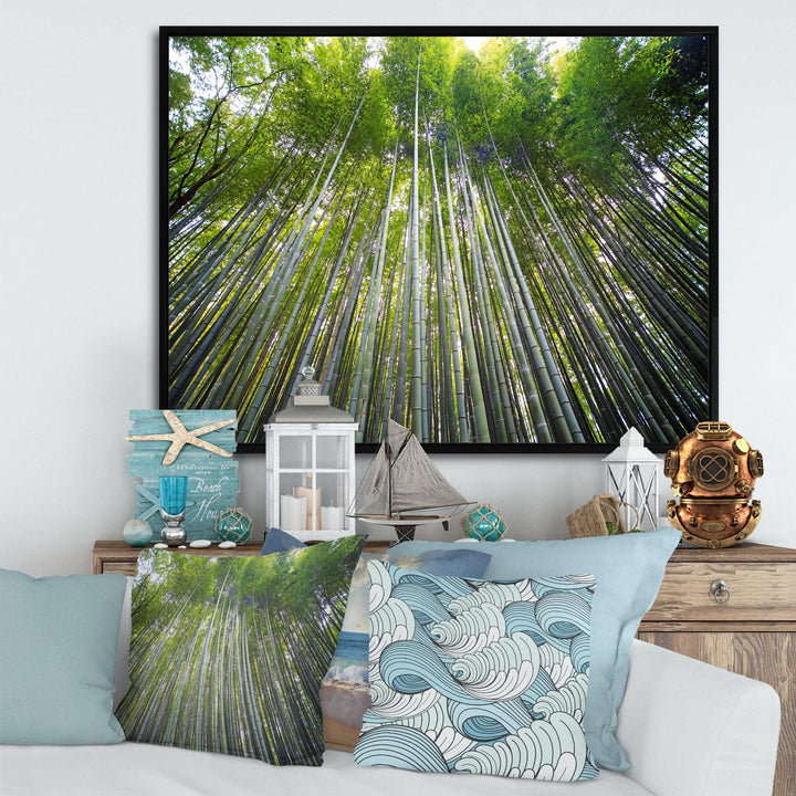 Bamboo forest of Kyoto Japan.