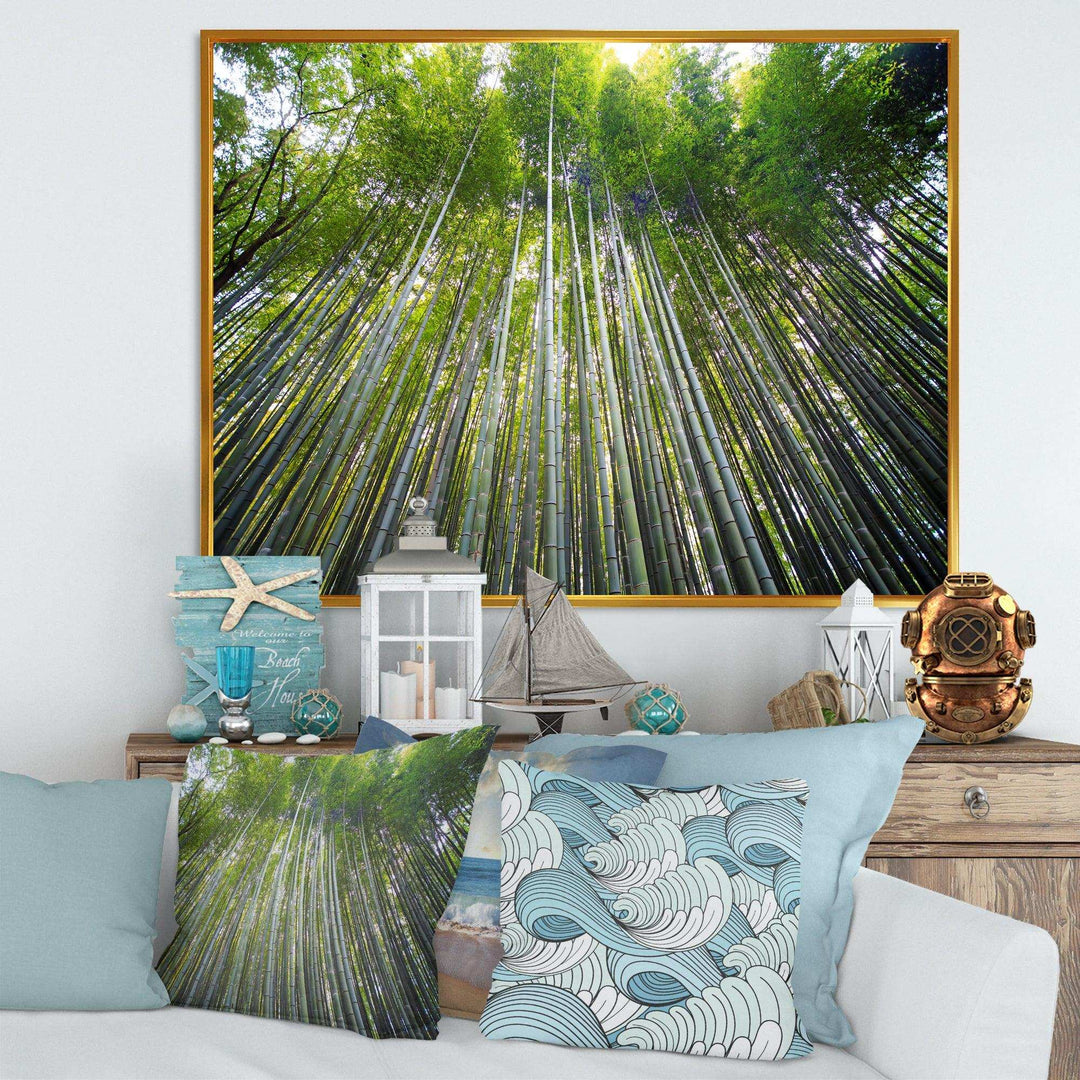 Bamboo forest of Kyoto Japan.