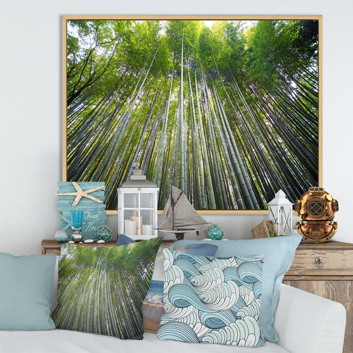 Bamboo forest of Kyoto Japan.