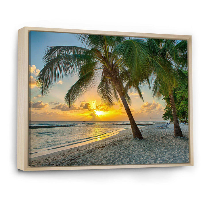 Beach in Caribbean Island of Barbados