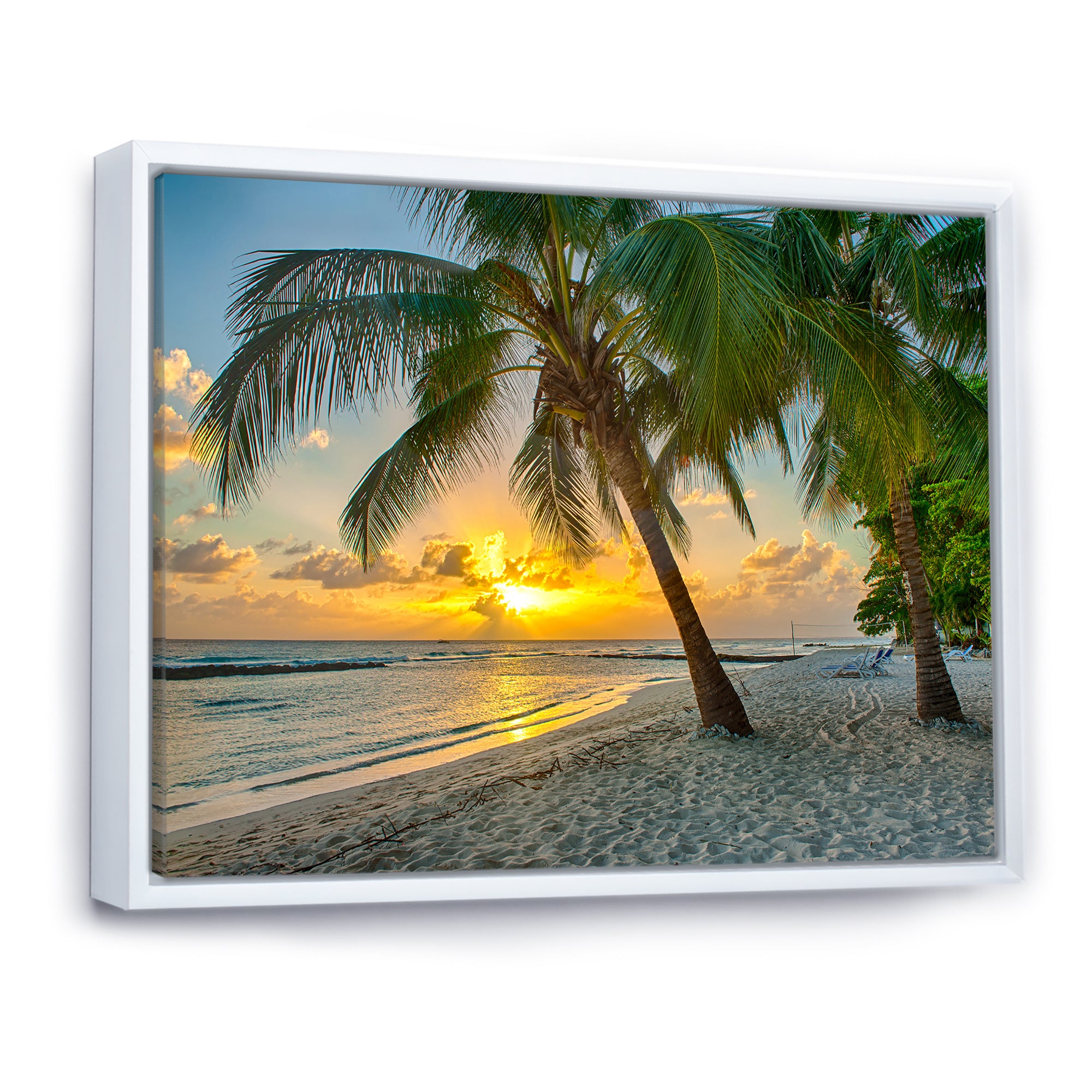 Beach in Caribbean Island of Barbados