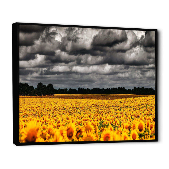 Van Gogh Summer with Clouds