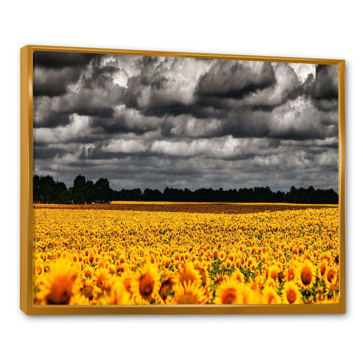 Van Gogh Summer with Clouds