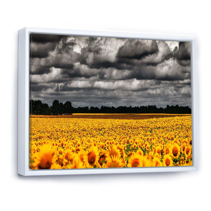 Van Gogh Summer with Clouds