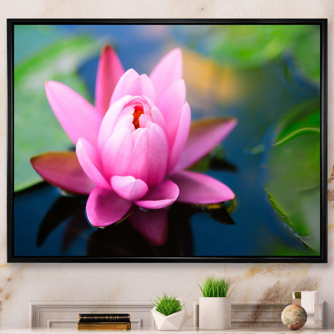 Large Lotus Flower in the Pond