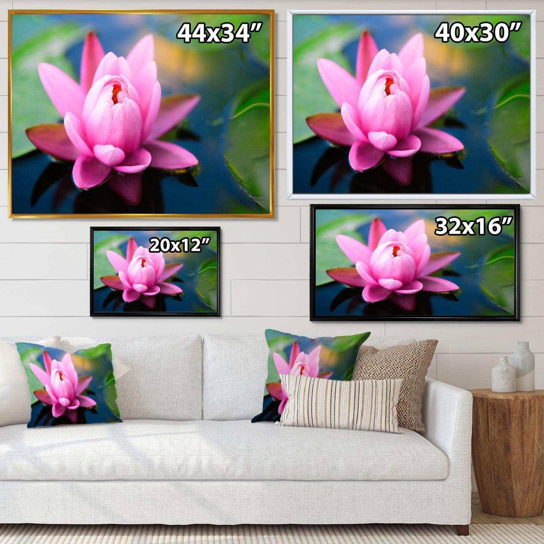 Large Lotus Flower in the Pond
