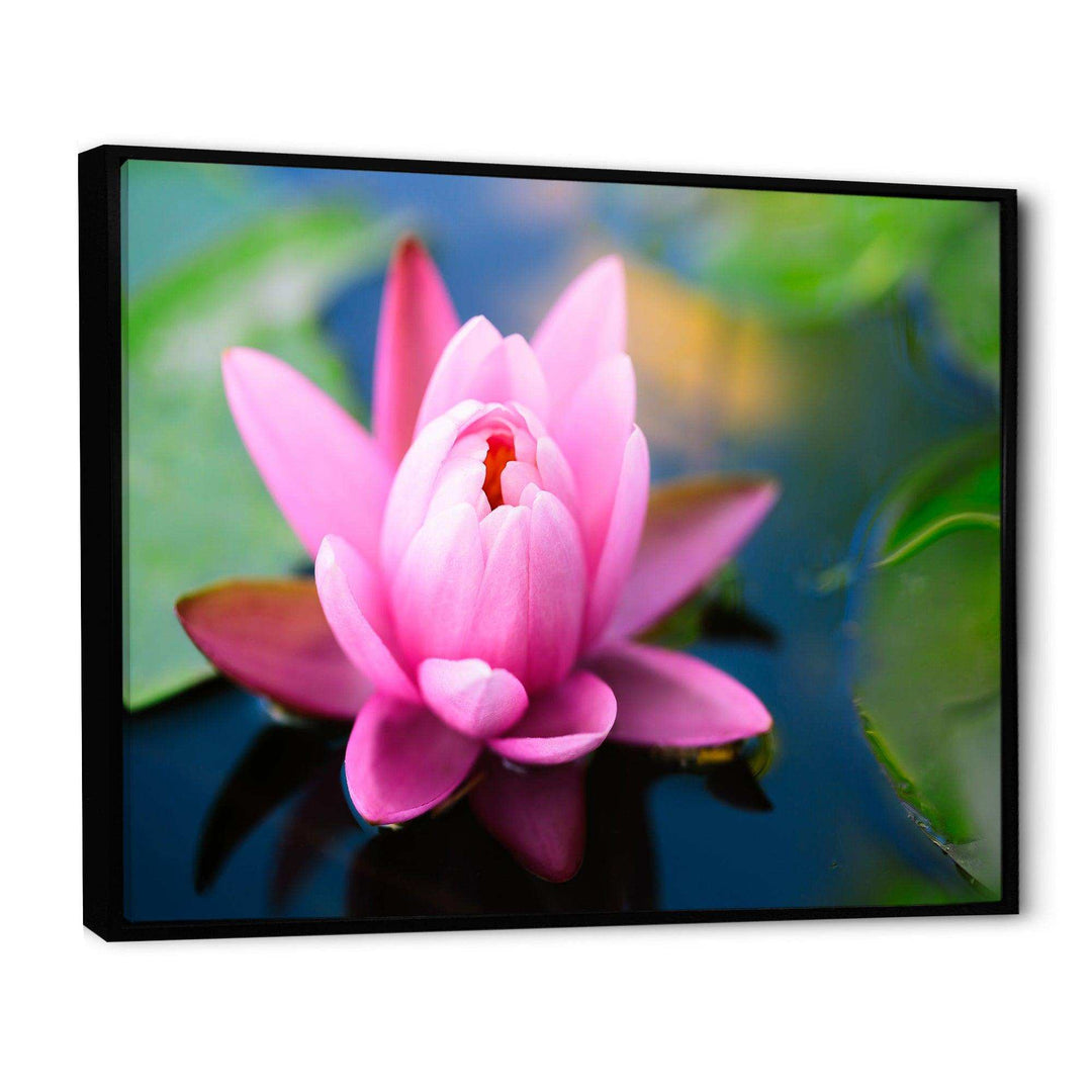 Large Lotus Flower in the Pond