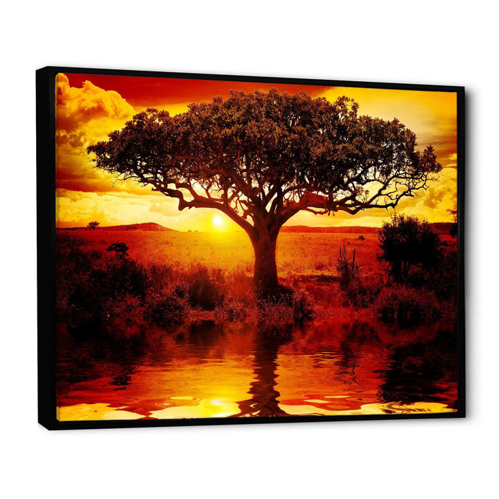 Lonely Tree in African Sunset