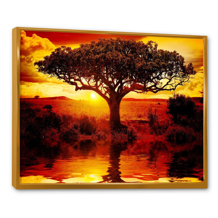 Lonely Tree in African Sunset