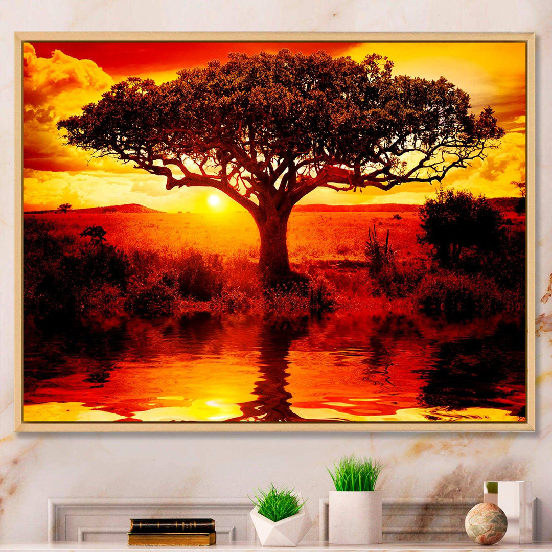 Lonely Tree in African Sunset