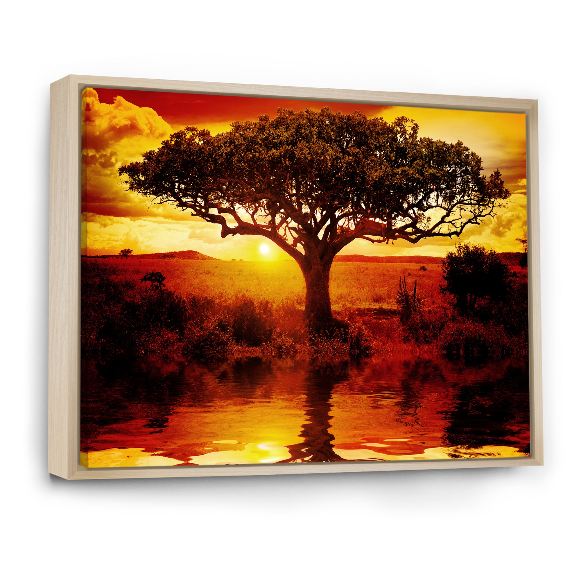 Lonely Tree in African Sunset