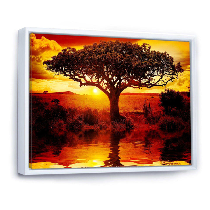 Lonely Tree in African Sunset