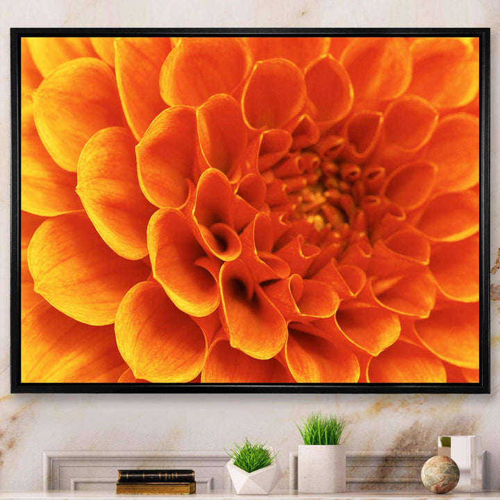 Large Orange Flower and Petals
