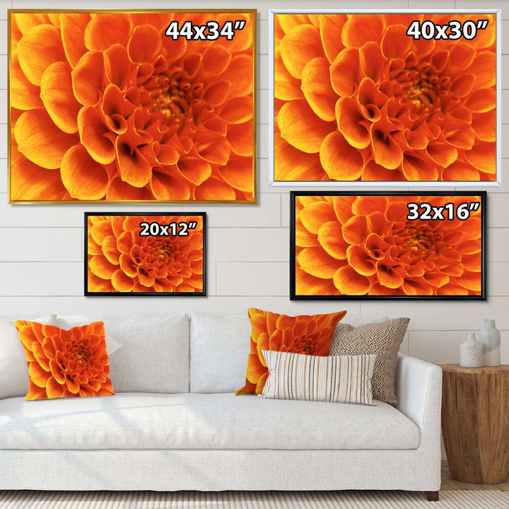 Large Orange Flower and Petals