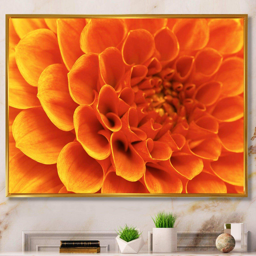 Large Orange Flower and Petals