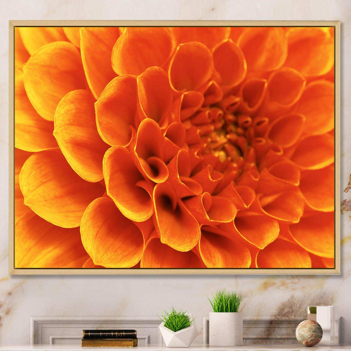 Large Orange Flower and Petals