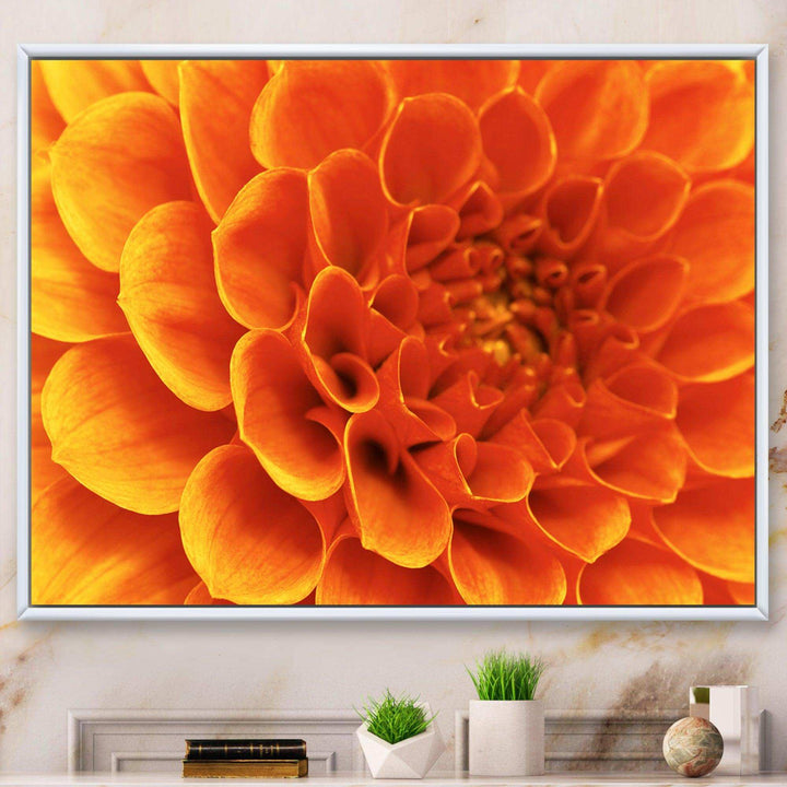 Large Orange Flower and Petals