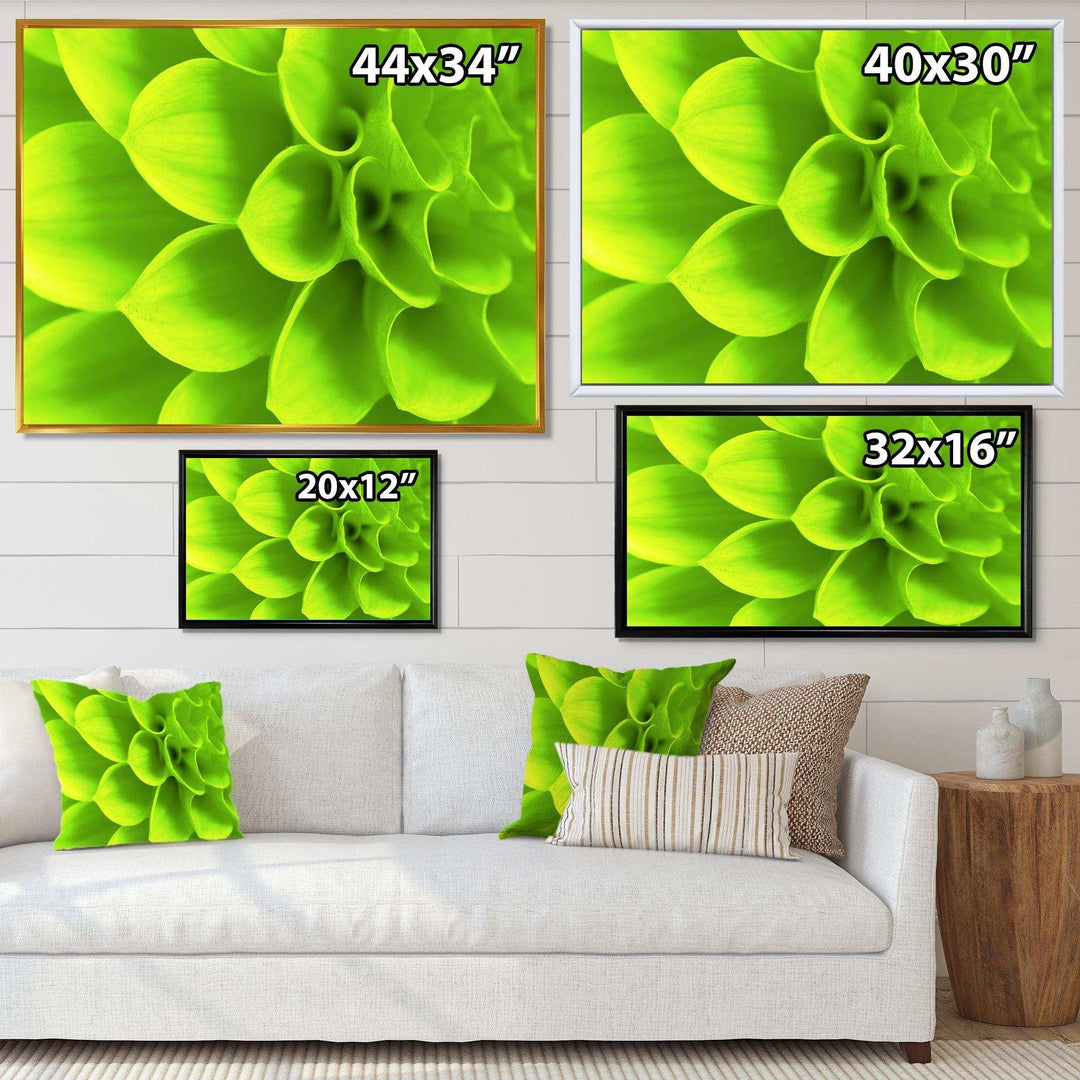 Bright Green Flower Petals