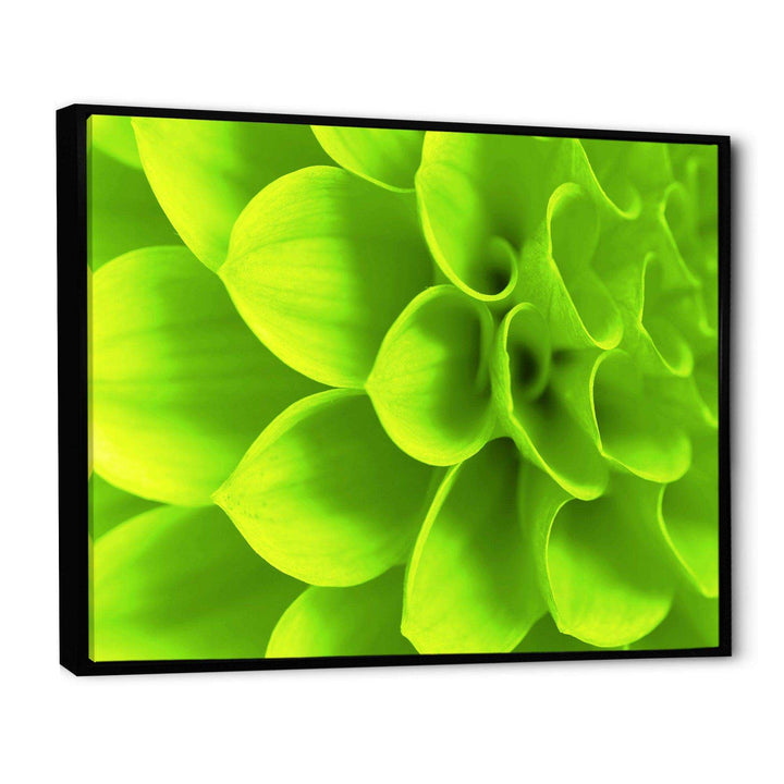Bright Green Flower Petals