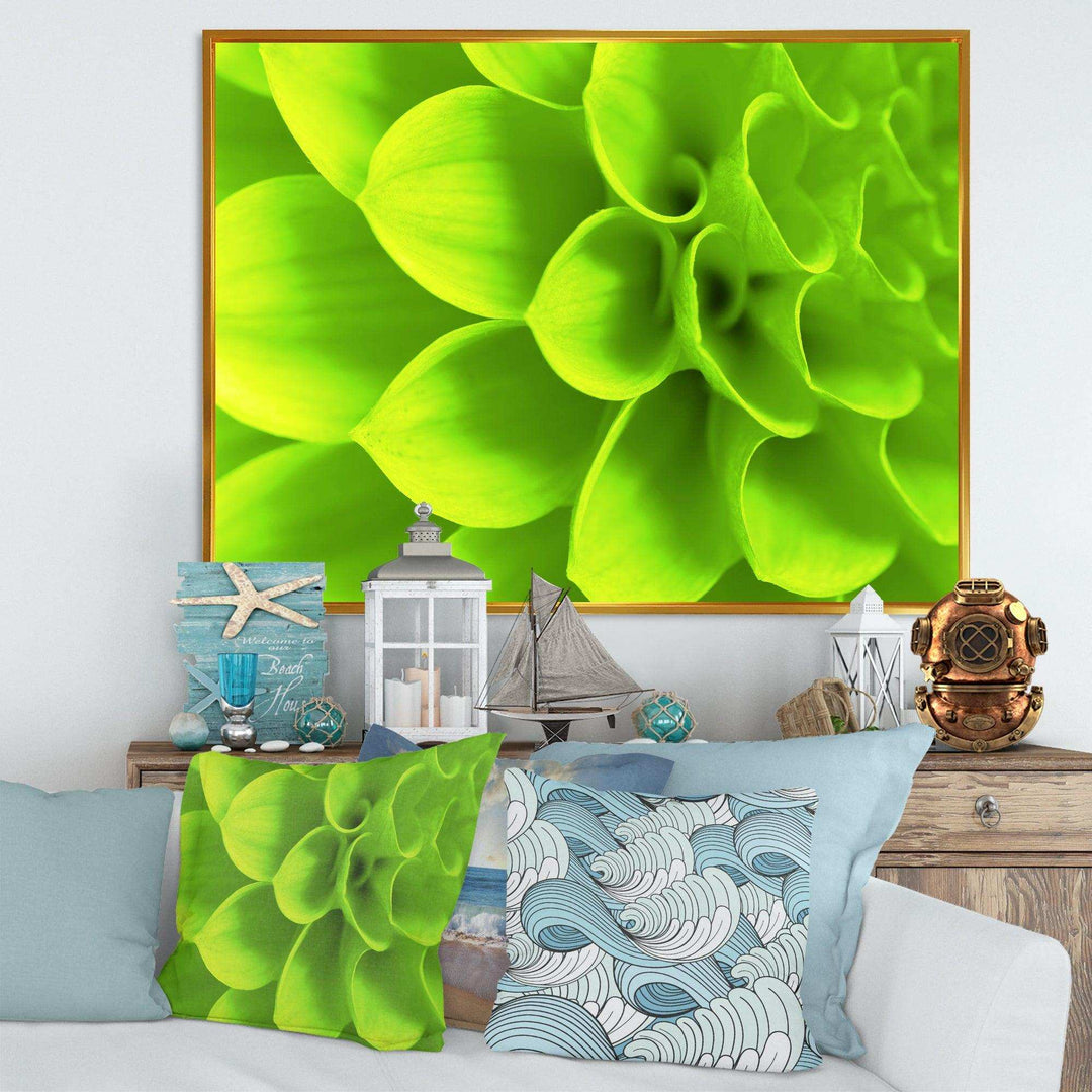 Bright Green Flower Petals