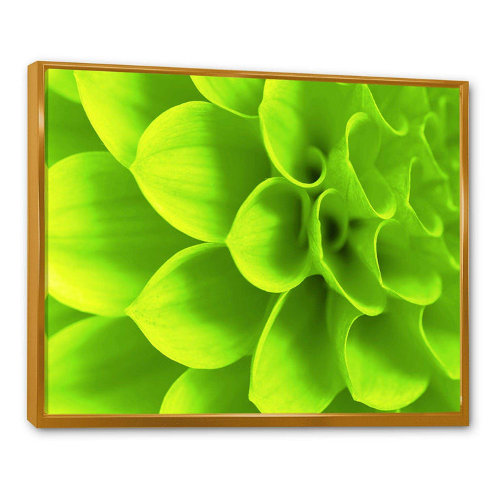 Bright Green Flower Petals