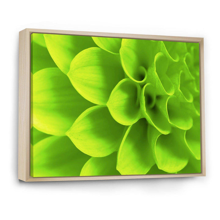 Bright Green Flower Petals